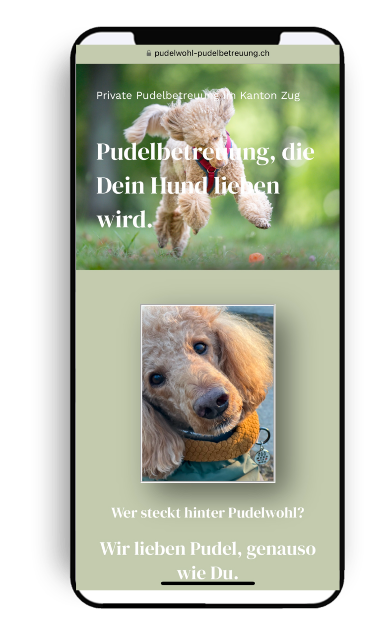 Pudelbetreuung zeigt wie pudelwohl sich dein Hund fühlt