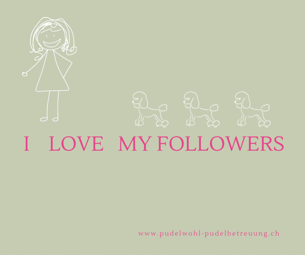 Pudelbetreuung Follower